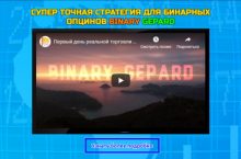Супер точная торговая стратегия для бинарных опционов Binary Gepard