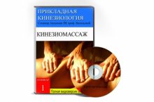 КИНЕЗИОМАССАЖ 1. Мышечные цепи туловища и нижних конечностей