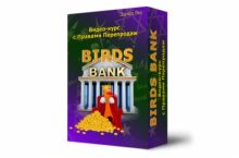 Birds Bank