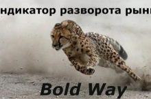 Индикатор Bold Way