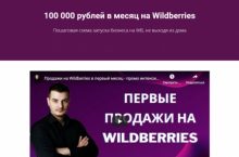 100 000 рублей в месяц на Wildberries