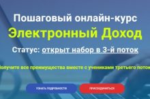 Электронный Доход [Золото]