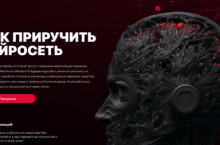 Как приручить нейросеть 