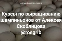 Курсы по выращиванию шампиньонов