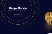 Кворк Профи