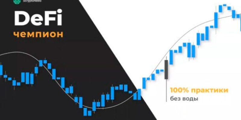 Мастер торговли или как убить в себе хомяка + Пакет Defi-Чемпиона, 100% практики без воды