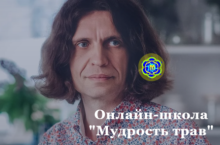 Мудрость трав