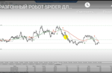 Обновленный советник Spider 2023 (Разгонный)