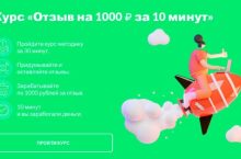 Отзыв на 1000 за 10 минут