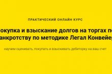 Покупка и взыскание долгов на торгах по банкротству по методике Легал Конвейер [Professional]