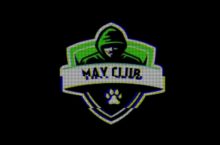 Приватные схемы заработка