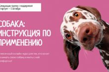 СОБАКА: ИНСТРУКЦИЯ ПО ПРИМЕНЕНИЮ [Одинокий волк]