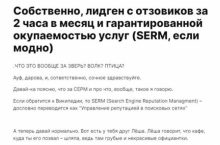 Собственно, лидген с отзовиков за 2 часа в месяц и гарантированной окупаемостью услуг