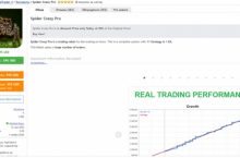 Советник Spider Crazy Pro [MT4]